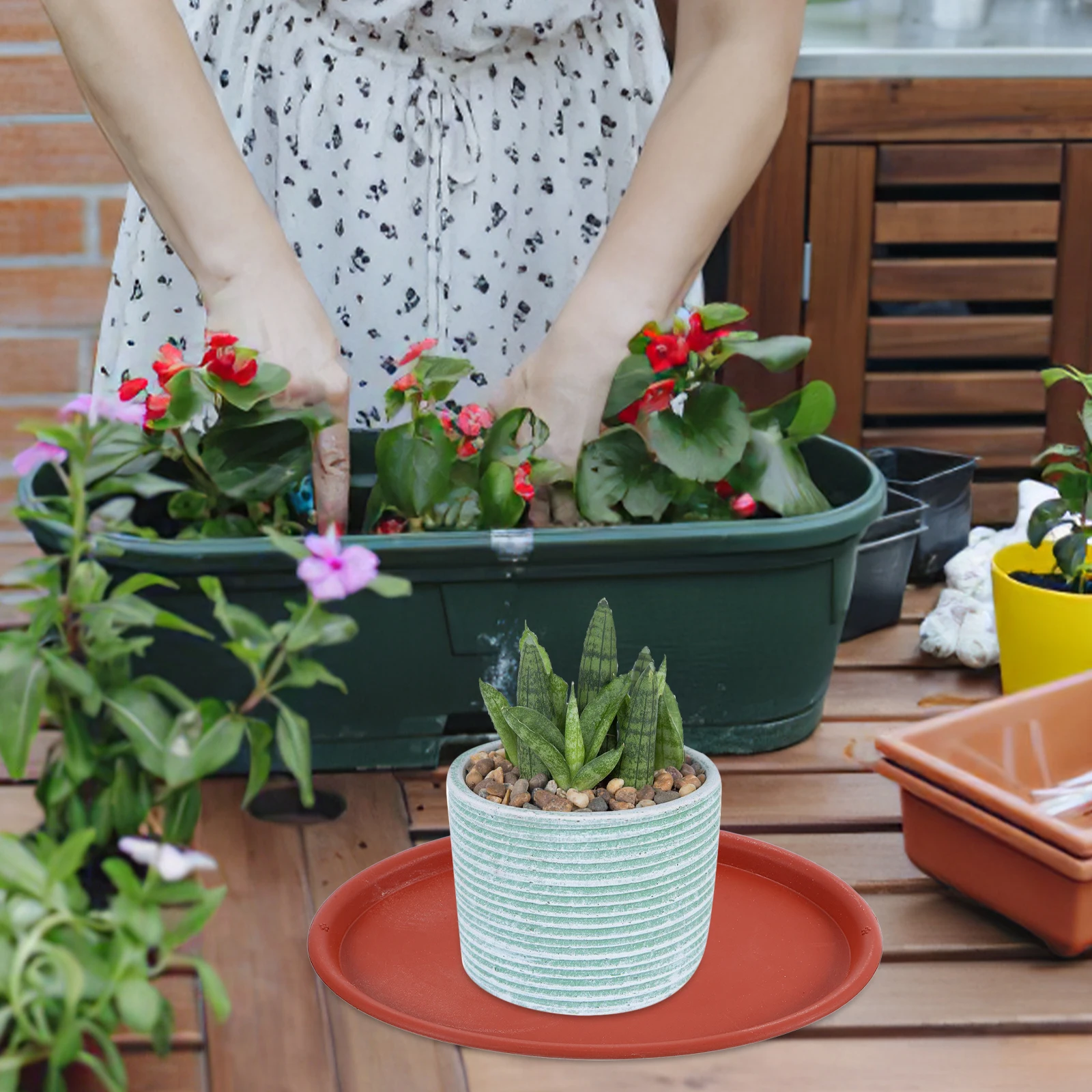 

10Pcs Plant Pot Tray Oval Waterproof Saucer for Indoor Plants Spill Proof Catch Basin for Home Garden Decoration