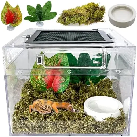 Reptile Terrarium 8…