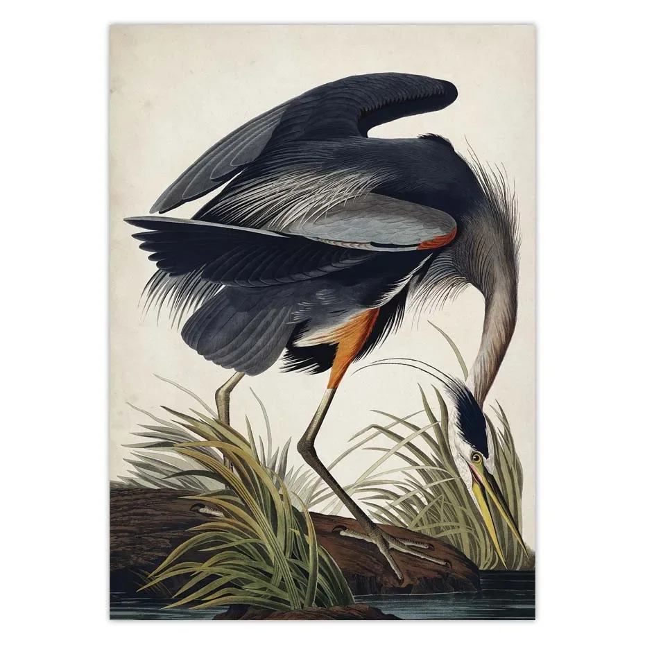 خمر الطيور قماش طباعة Audubon الطيور الملصقات الوردي فلامنغو ثلجي البومة بيليكان الأزرق هيرون الأبيض Egret حائط لوح رسم الفن