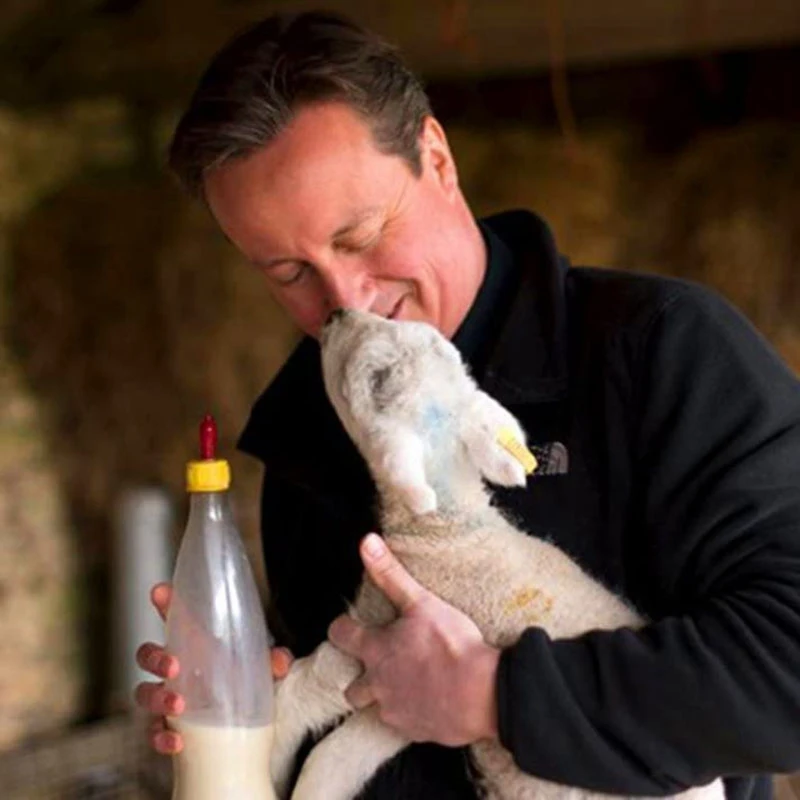 

20 шт., специальная соска для питья из ягненка, соска для питья из козьего молока, латексная мягкая соска для кормления, орфана, ягненка, собака, куб, теленка