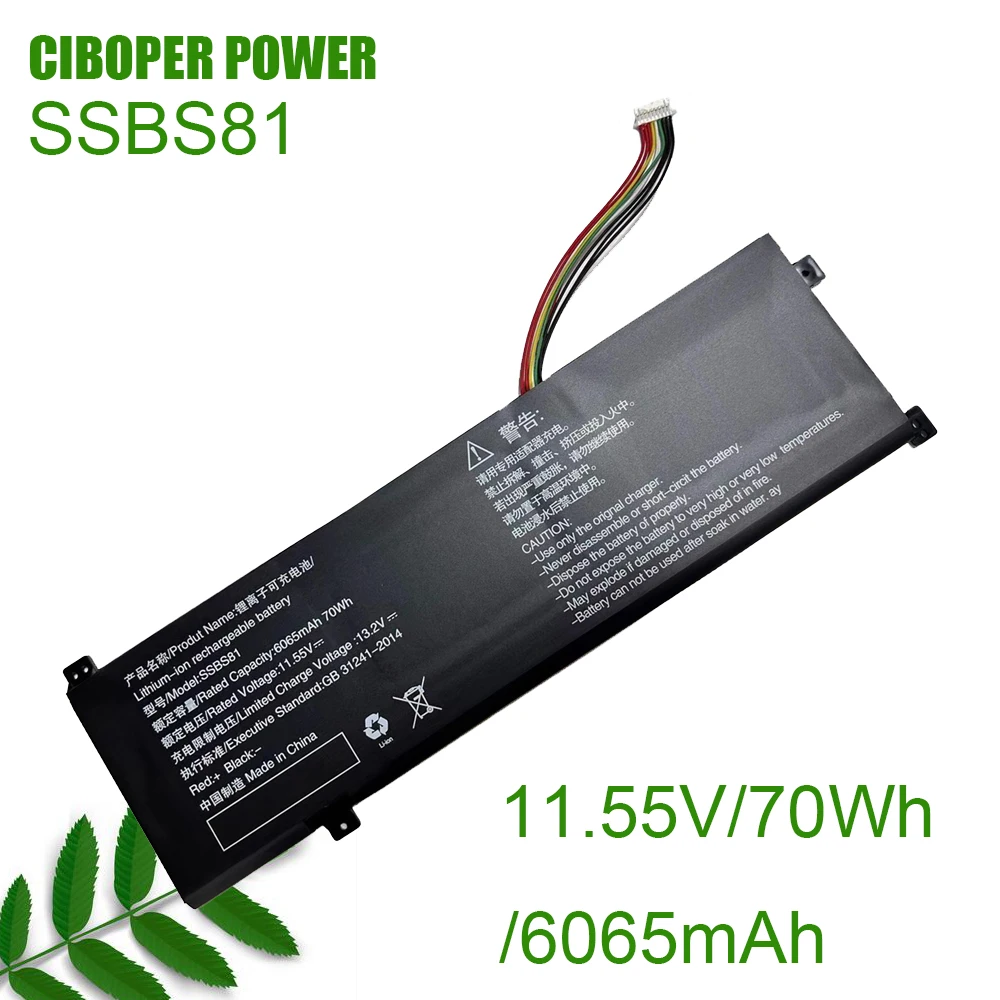 CP Laptop Battery SSBS81 11.55V 70Wh 6065mAh For 10 16 Pro Code01 2022 Edition 2023 R5 R7-6800H Tablet PC 16HD-5BB6U Series
