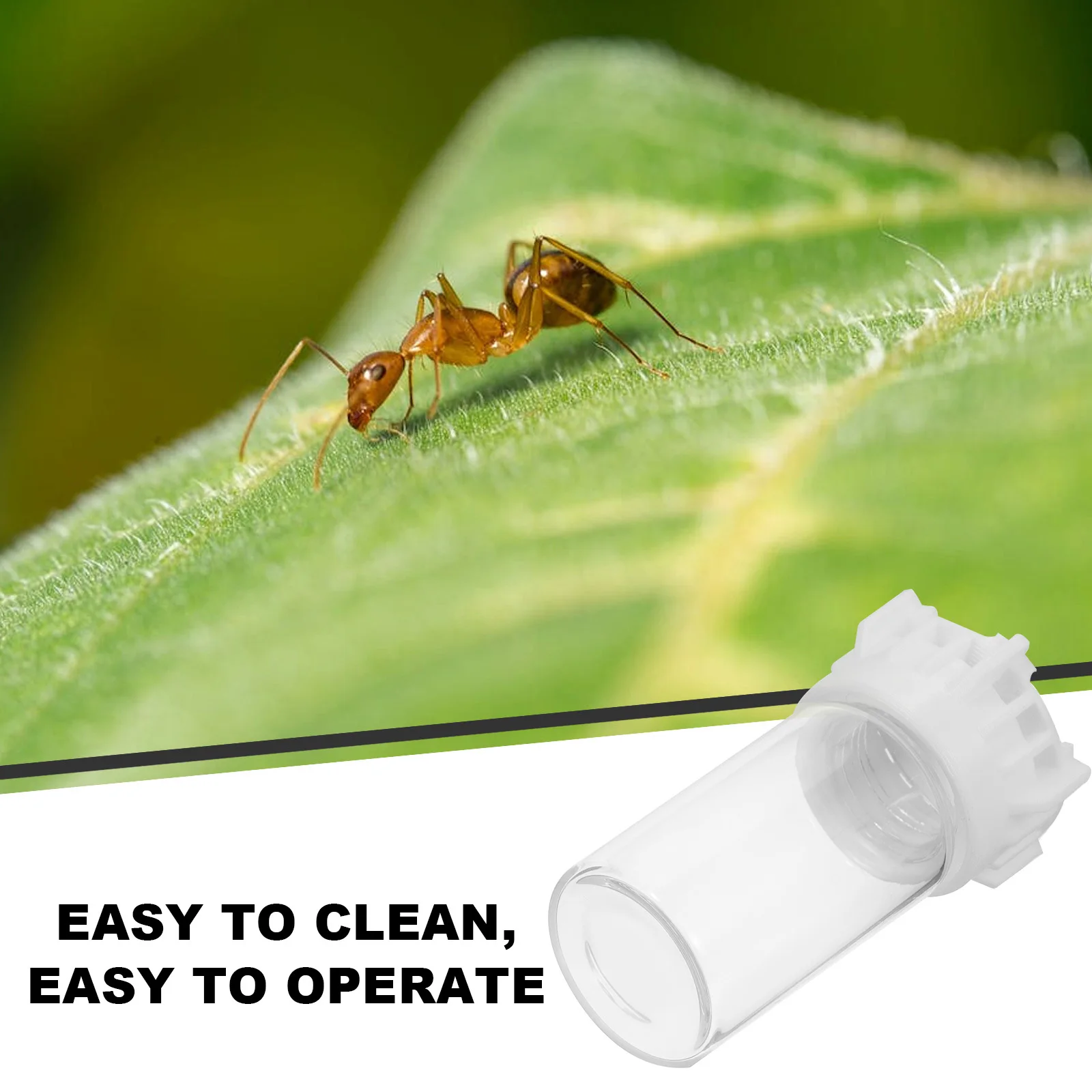 

Ant Water Feeding Cup 20ml Plastic Glass Material Strong Texture Ants Farm Supply Easy Install Functional Tool