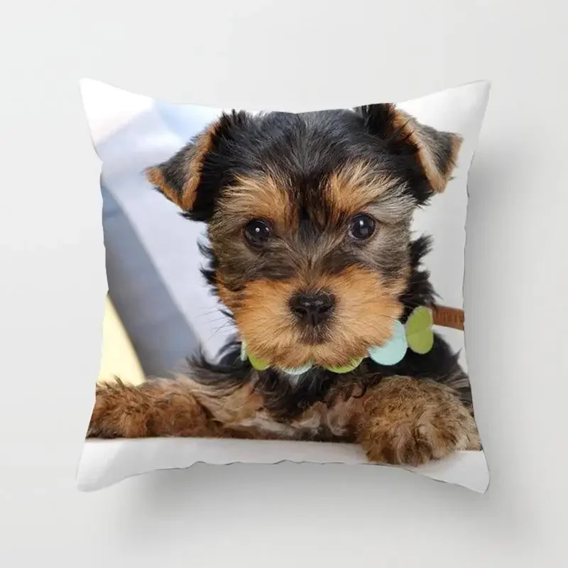 Cute Dog Yorkie BICHON Dog Yorkshire Decor Print Pillow Case Bedroom Sofa Waist Cushions Cover Car Decoration Cushion Cover