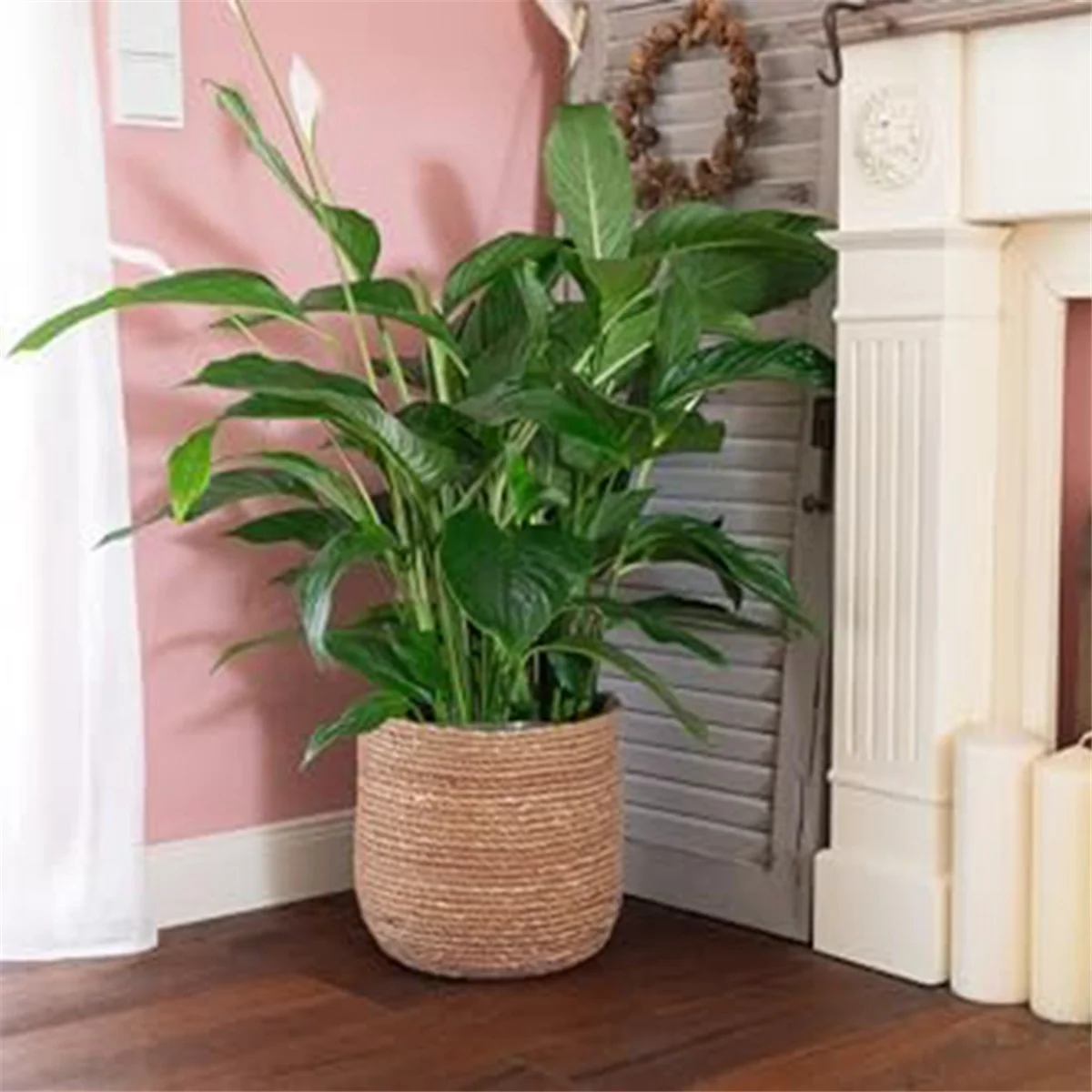 وعاء زهور الأعشاب البحرية A42F - وعاء نباتات منسوج - سلة نباتات مزخرفة مع إدخال فيلم بلاستيكي على طراز بوهو S