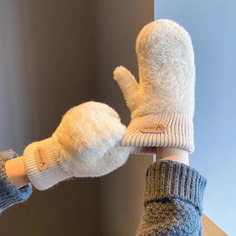 Cute Winter Thicken Warmer Women Gloves Plush Full Finger Mittens Warm Soft Fingerless Gloves for Cold Weather