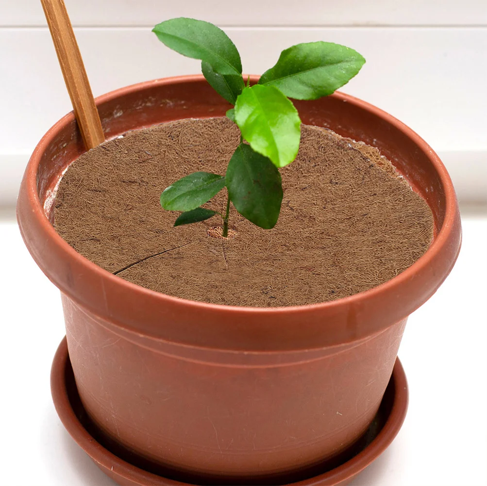 

Coir Mulch Ring Weed Control Discs Tree Plant Round Anti Grass Mat Safe Gentle Long Term Use Coir Control Discs