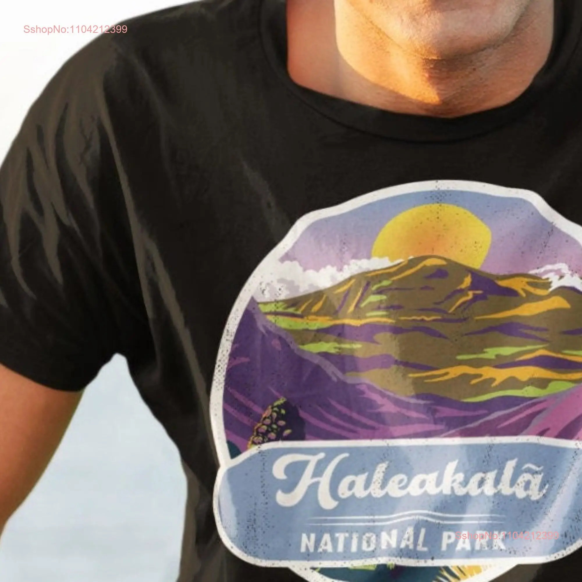 Haleakala National Park T Shirt Vintage Top Mountain Hiking and Camping  long or short sleeves