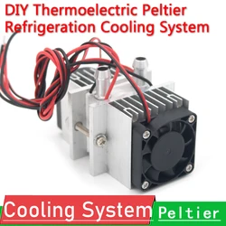 DIY Thermoelectric Peltier Refrigeration Cooling System + fan+2x TEC1-12706