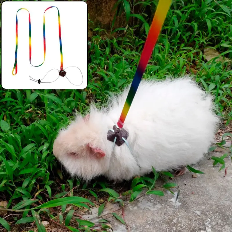 Colored Leash Harness Adjustable Baby Rabbit Walking for Small Pet