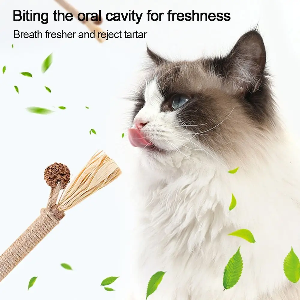 Silvervine Sticks Pet Cat Toys Natural Catnip Suit Safety Sisal Molar Toothpaste Branch Cleaning Teeth Cat Snacks Pet Supplies
