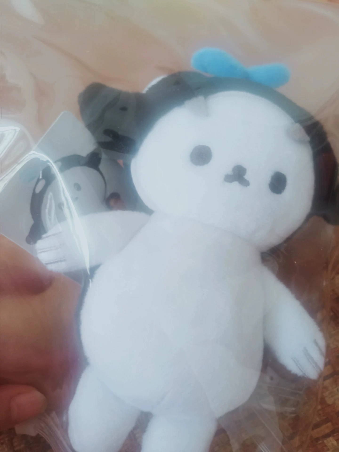2025 New In Stock Gmmtv Thai Star TayNew POLCASAN Breezy Ballon