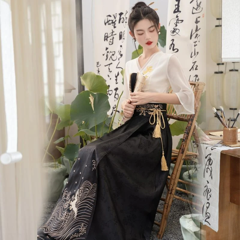 تنورة وجه حصان من سلالة مينغ الصينية التقليدية للنساء ، مجموعة هانفو على الطراز العتيق ، فستان رقص شعبي للسيدات ، عتيق ،