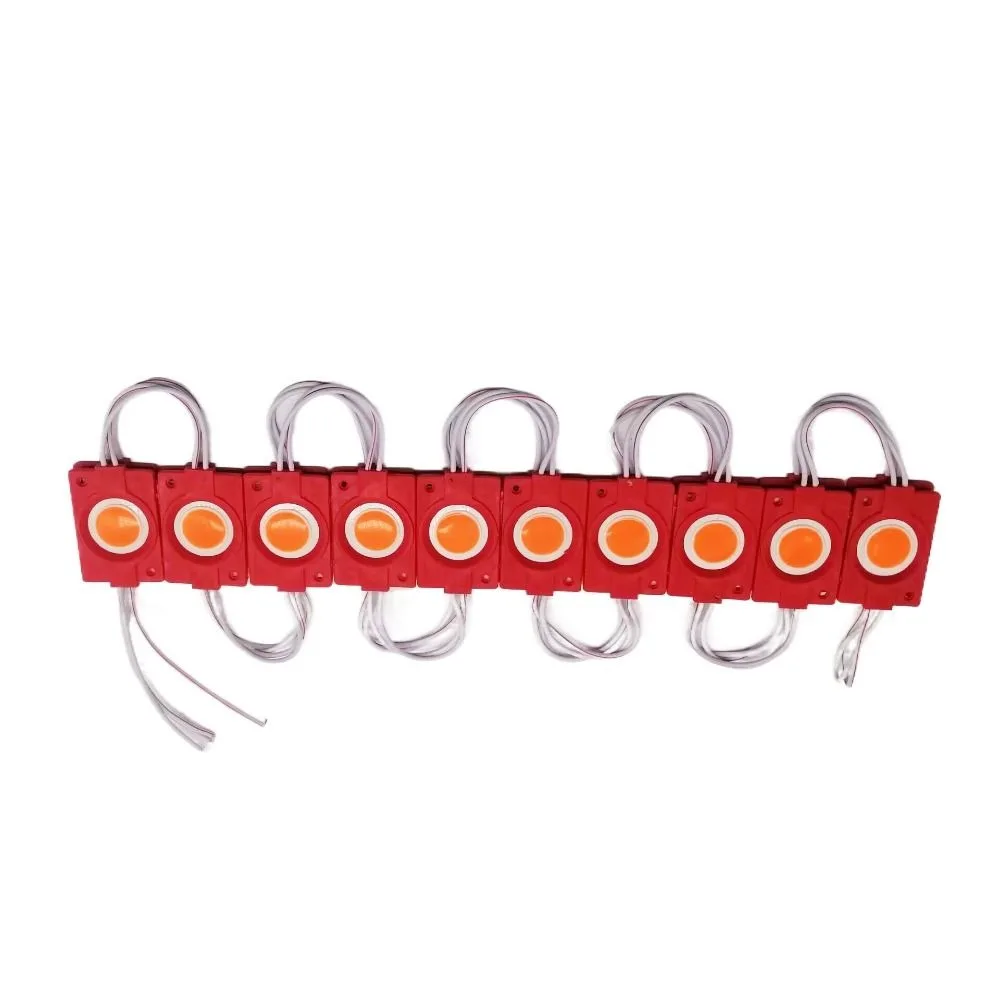 20pcs 12V 24V Led Module Waterproof Super Bright COB Light Luminous White Red Green Blue Yellow Pink Backlight Modules Shop