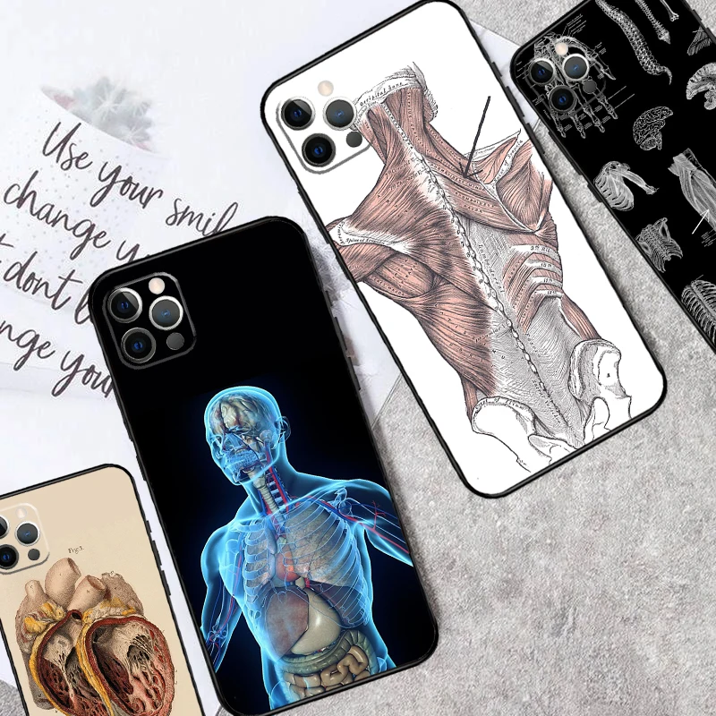 Human Anatomy Case …