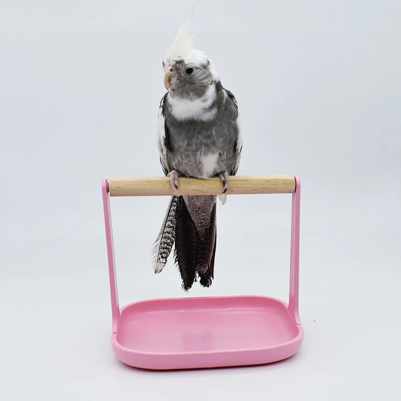 Parrot stand pole tabletop small stand bird stand stick bird stand food cup platform training stand stick habitat bird supplies