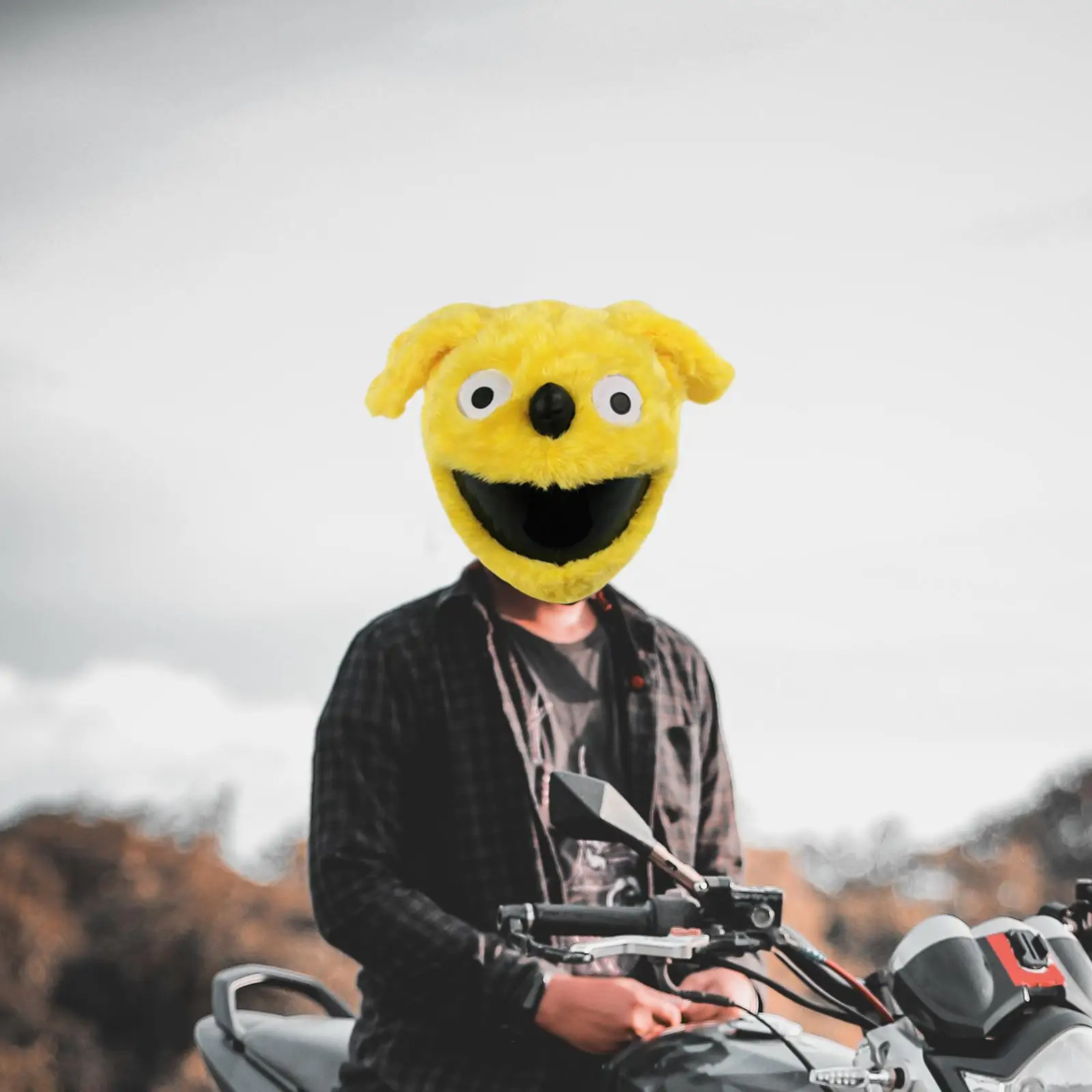 Motorcycle Helmet Cover Gifts Plush Men and Women Eye Catching Style Outdoor Funny Helmet Cover Cartoon Helmet Protective Cover