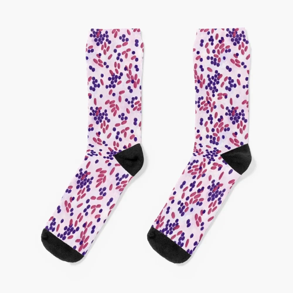 

Gram-stain Socks cool Men's Soccer Socks For Women Men's