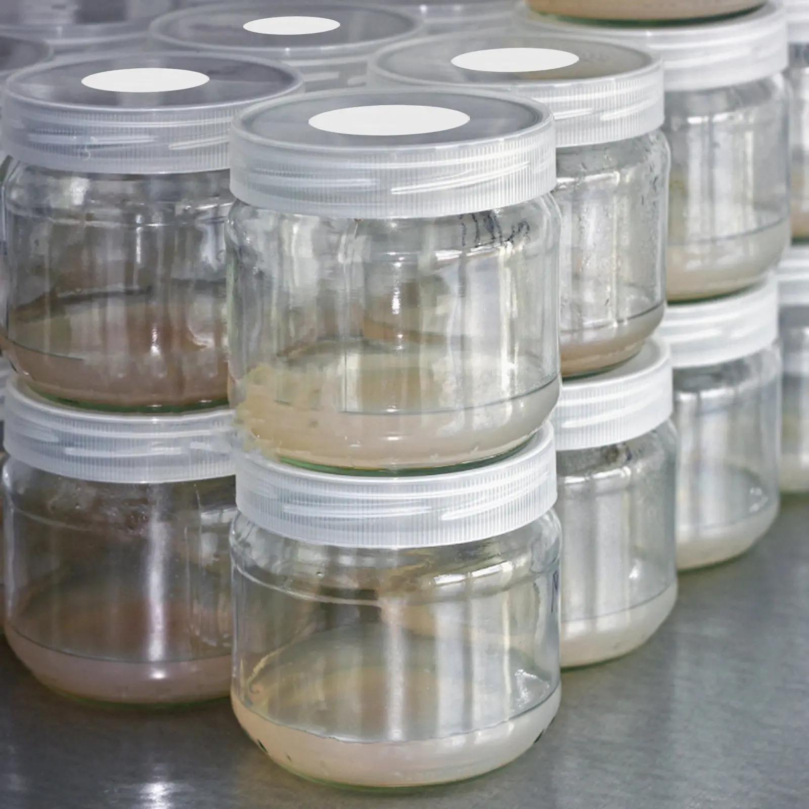 

2 листа двухслойных дышащих прокладок из EPTFE для крышек бутылок для выращивания грибов, предотвращающих загрязнение