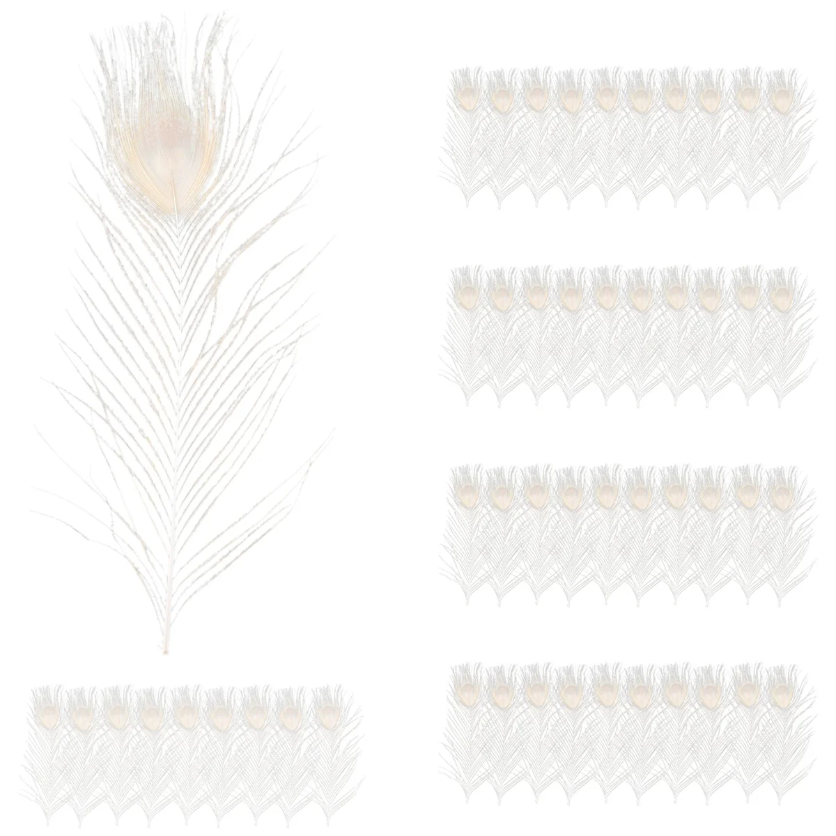 50 PCS/Natural White Feathers in the Eye, 10 to 12 Inches of the Wedding Decoration