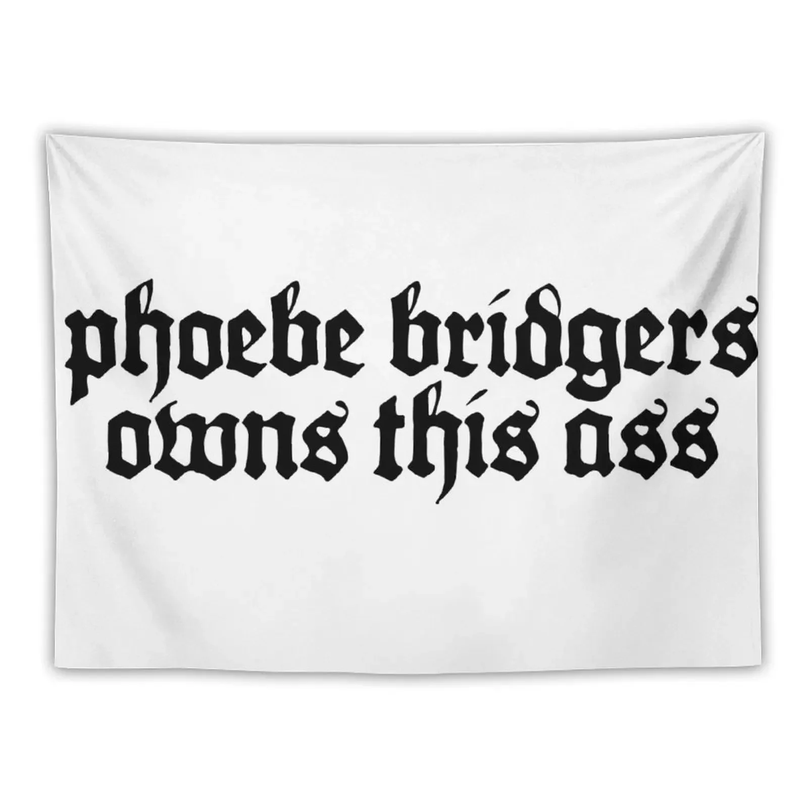 phoebe bridgers owns this ass Tapestry Aesthetic Home Decor Decoration For Home Decoration Bedroom Tapestry