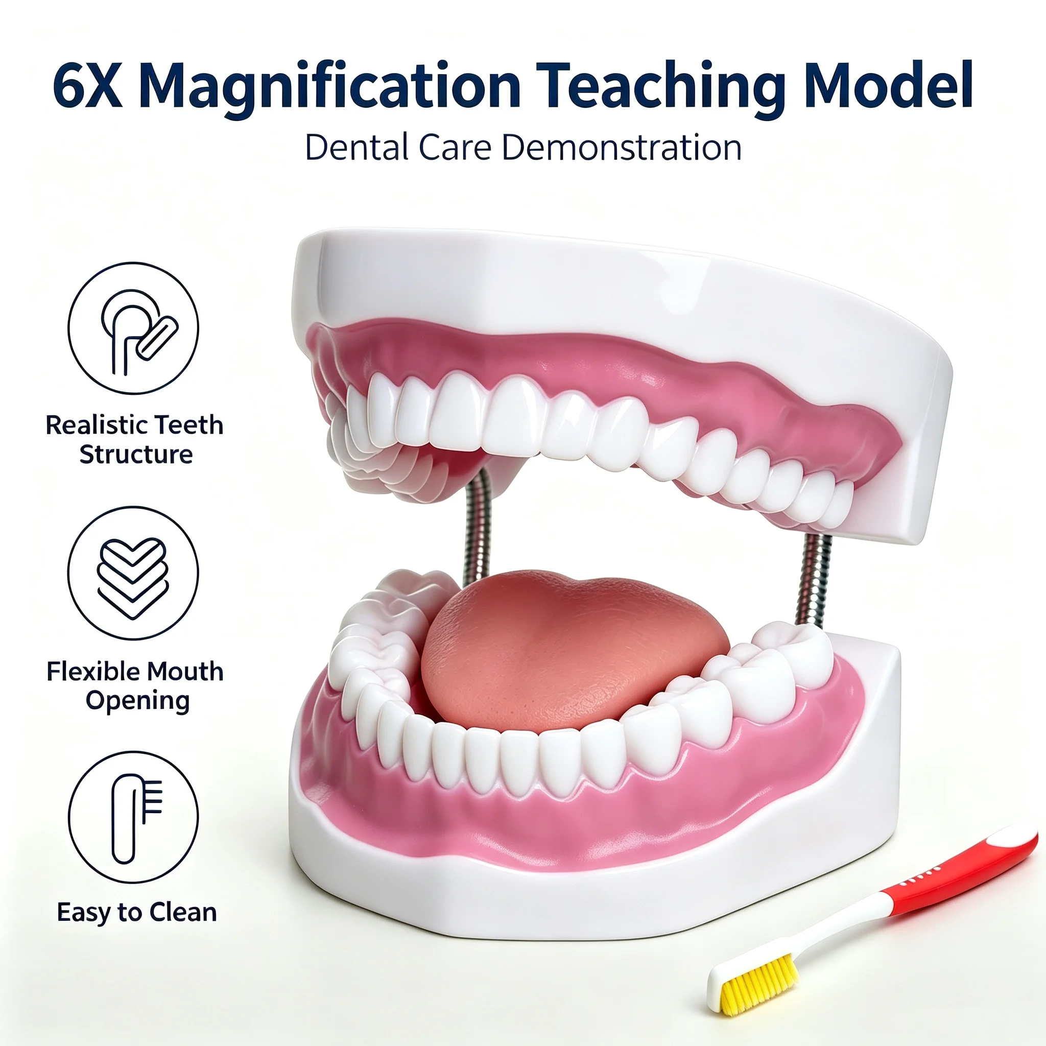 6X Enlarged Dental Teaching Model, Brushing Demonstration Mouth Model With Tongue, For Kindergarten Oral Hygiene Education