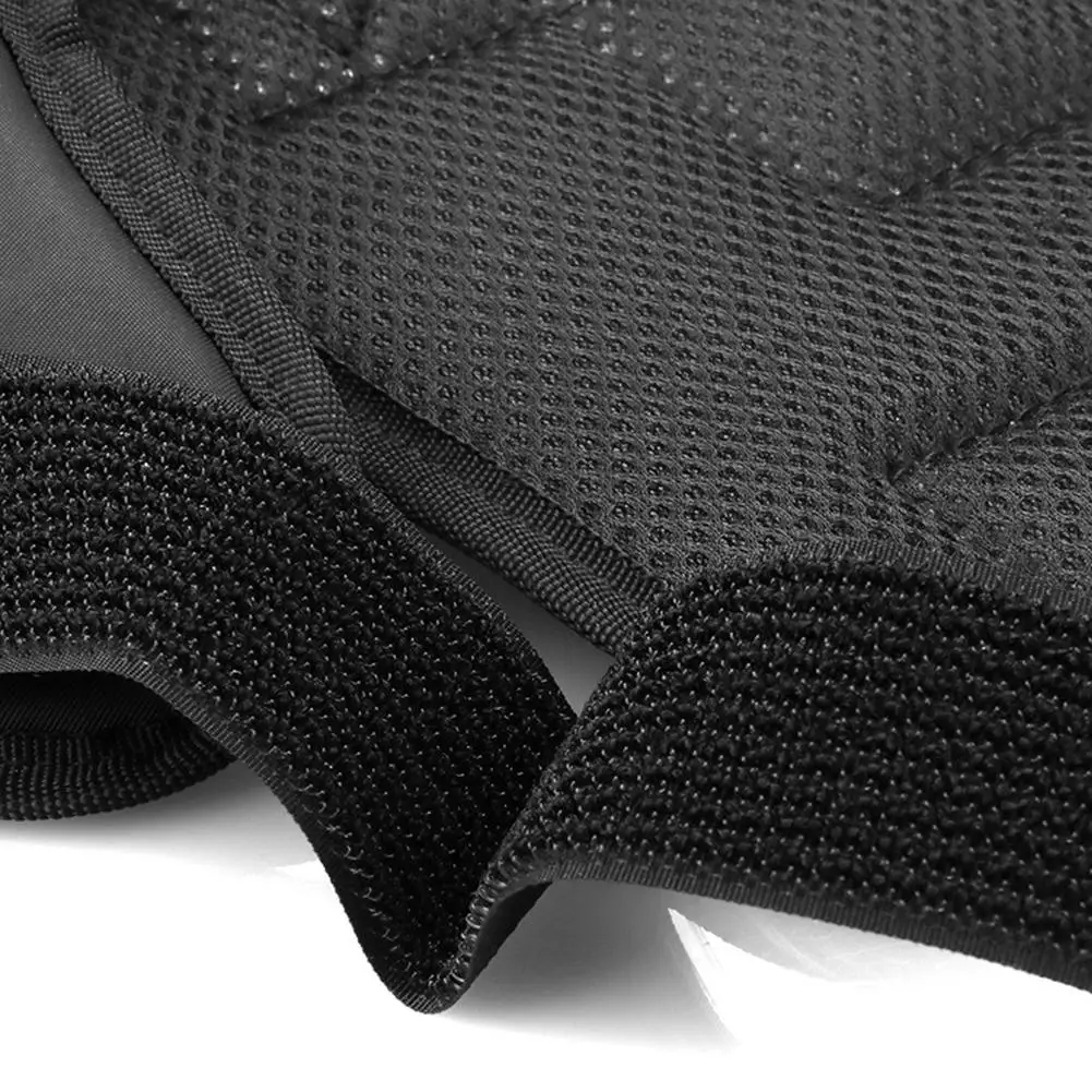 Camera Ready Cat Ha…