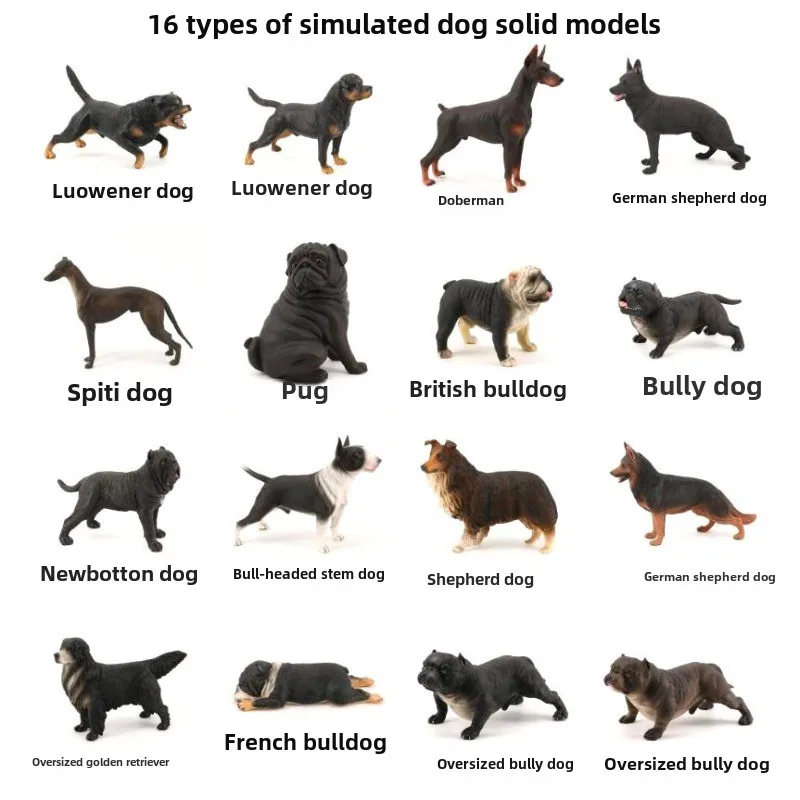 Modelos de animales sólidos realistas para niños, Bull Terrier negro Doberman Pinscher Pastor Perro Bully Perro Corgi Modelos de juguete para niños
