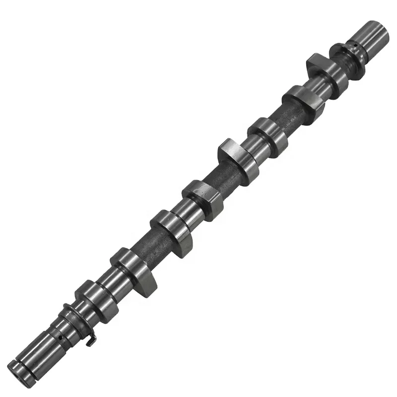 

Chill Cast Iron Engine Camshaft Assembly 13001-00Q0R for RENAULT OE with Bearing Bushes