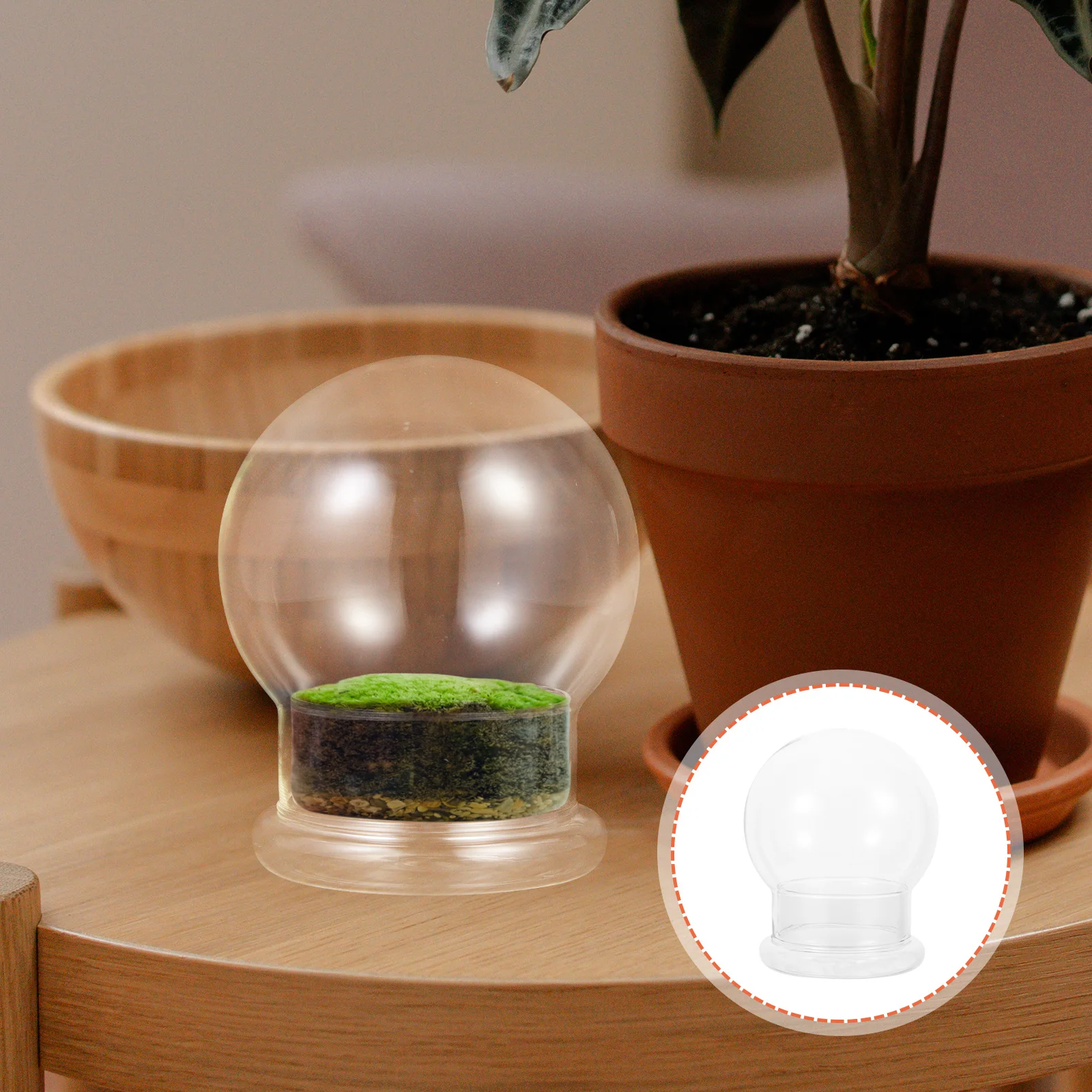 

Microlandscape Ecological Glass Bottle Elegant DIY Micro Landscape Moss Craft Decorative Home Supplies Ecological Bottle