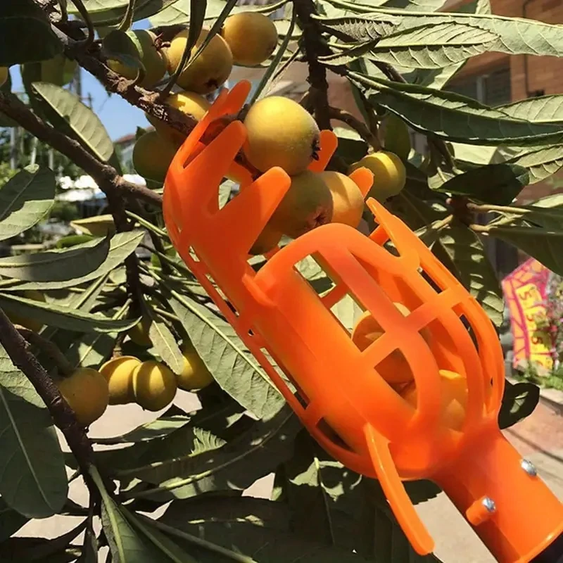 1pc High-Altitude Fruit Picker Loquat Bayberry Plastic Garden Fruit Picking Tool Harvester Catcher For Hand Peach, Plum, Jujube
