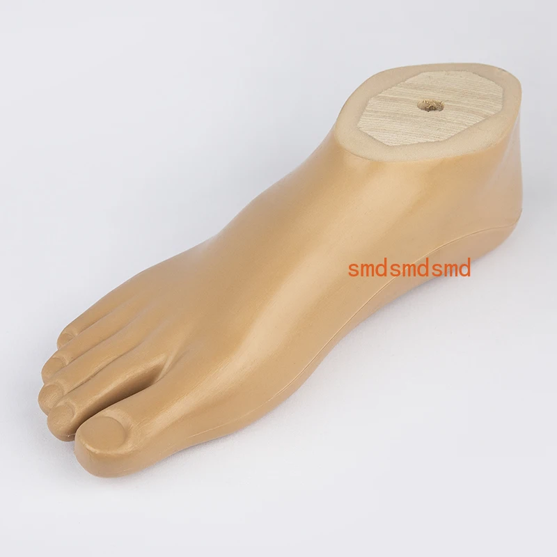 

Prosthetic Foot Board Static Ankle 21～27cm Accessories Parts Artificial Limbs Ortheses Prostheses Sockets Fasten