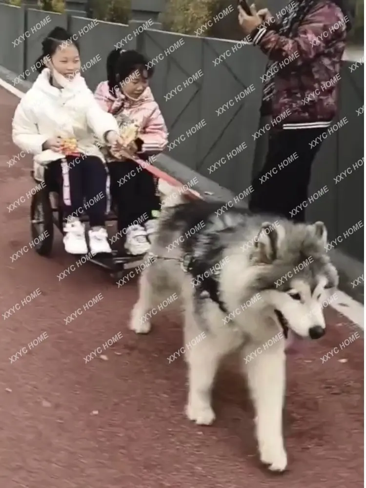 Zekee pes vozík pes cestička auto zvířátko nákup vozík lid zasedání lehký skládací