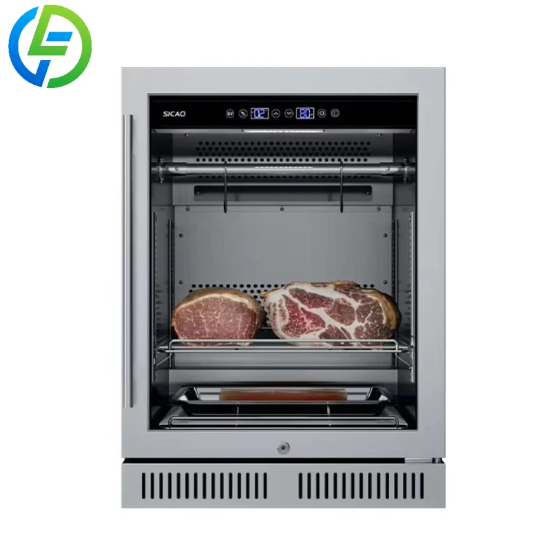 Customize Steak Pork Dri Age Refriger Dry Age Curing Chamber Fridge Refrigerator Dry Ager Meat Refrigerator for Meat Shop