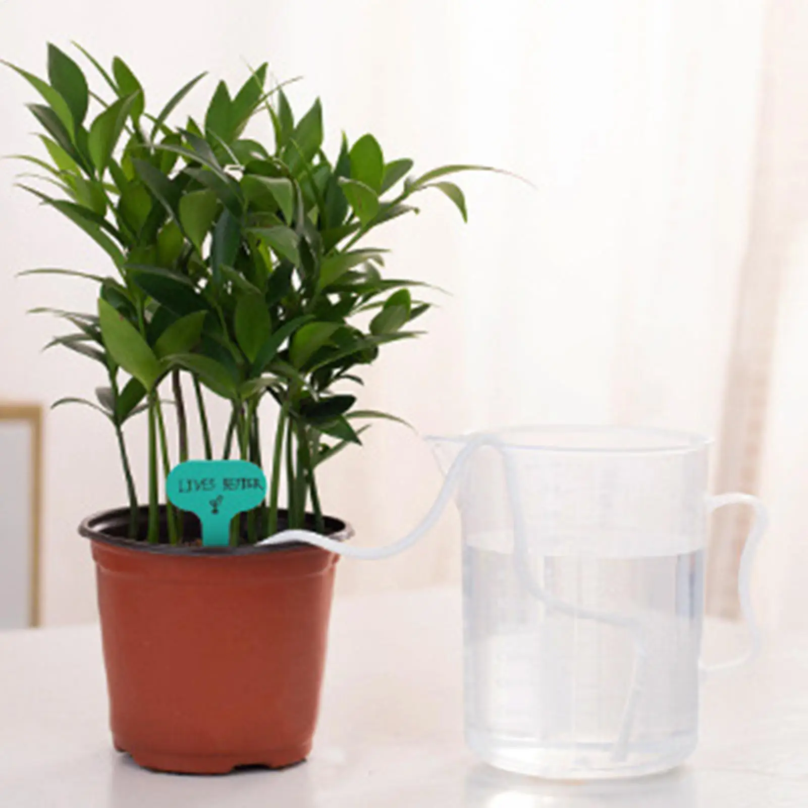 Plant Wicks For Self Watering - огляд і ціна Self Watering Planter