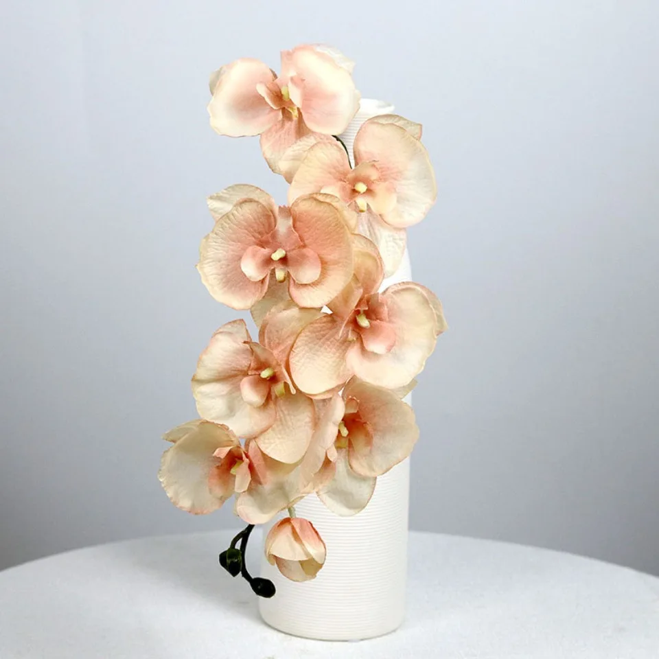 8 Köpfe große künstliche Seide Zweig Orchidee Phalaenopsis schwarz Burgund Hochzeit Home Decor Blumen Topf Orchidee Großhandel – Detail 4