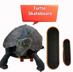 Nieuwe Stijl Mini Klein Skateboard Voor Schildpadden Papegaai Schildpad Speelgoed Vinger Skate Board Voor Huisdier