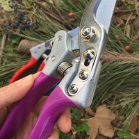 Fruit Tree Pruning, Bonsai Pruning, Gardening, Easy Pruners, Garden Scissors, Grafting Tool, Secateurs