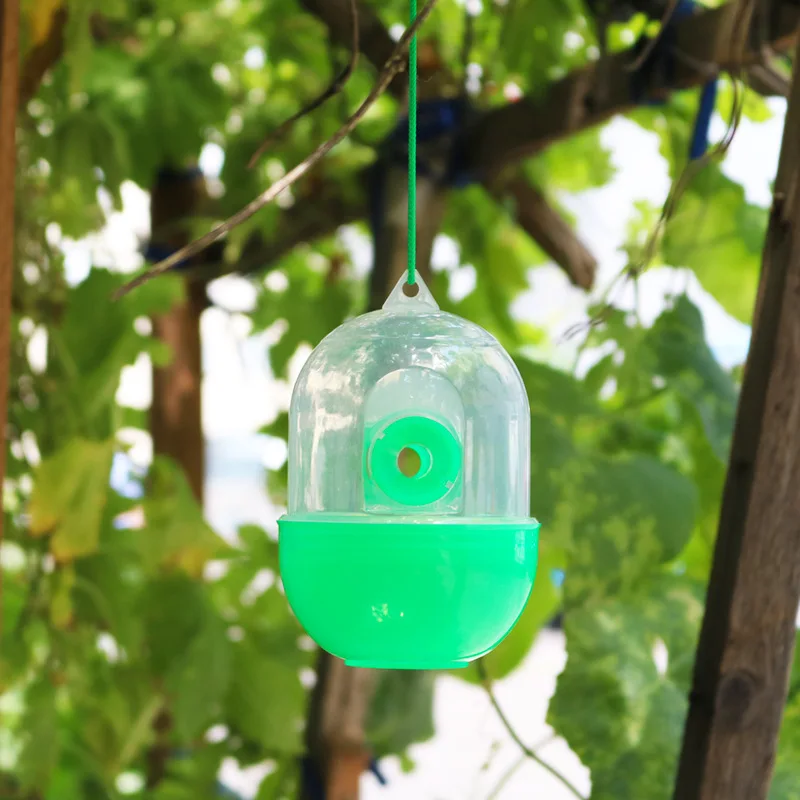 

Wasp Hanging Fly Trap Catcher Beekeeping Catcher Cage Equipment Tools for Wasps Bees Hornet Pest Control Garden Reusable