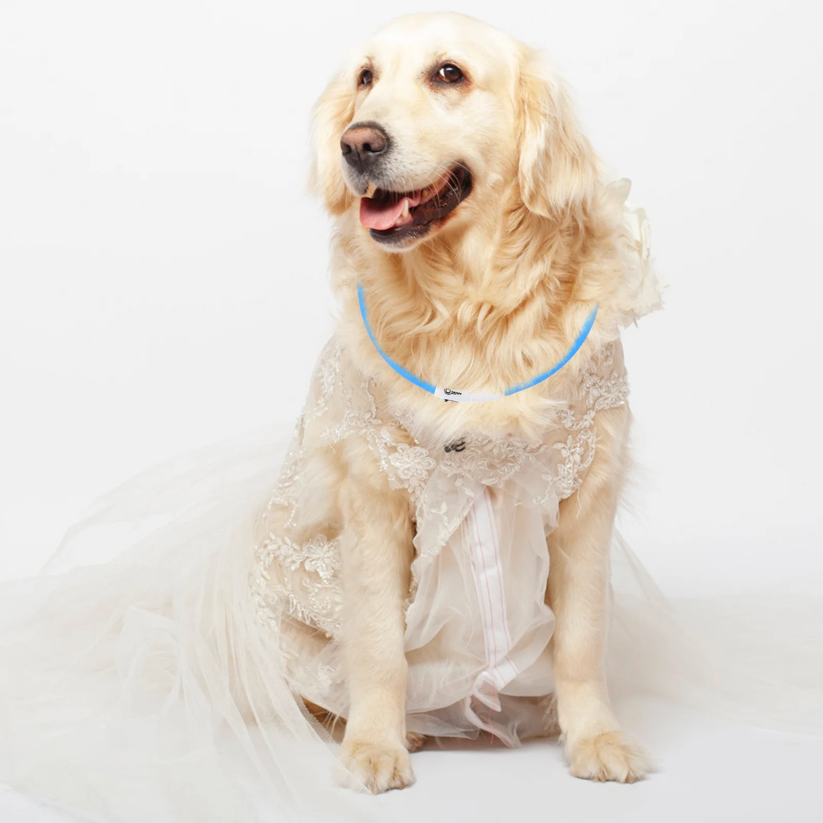 

1pc Led Pet For Cats Dogs Glowing Night Safety Light Waterproof Chic Kitten Accessory Pet Cat Collar Kitten Safety Collar