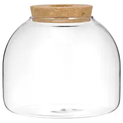 Cork Glass Bottle Plant Terrarium Large Landscape Flower Pots Ecosystem Small Container Bracket Cookie Jar Office