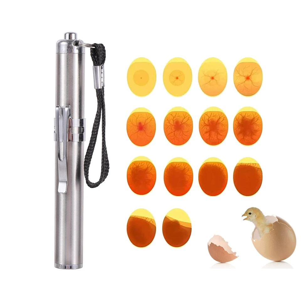 Testeur De Fertilité Œufs 9 LED Lumière Froide – Lampe Miragiste Poules Canards Cailles, Métal & Caoutchouc, Cordon Long