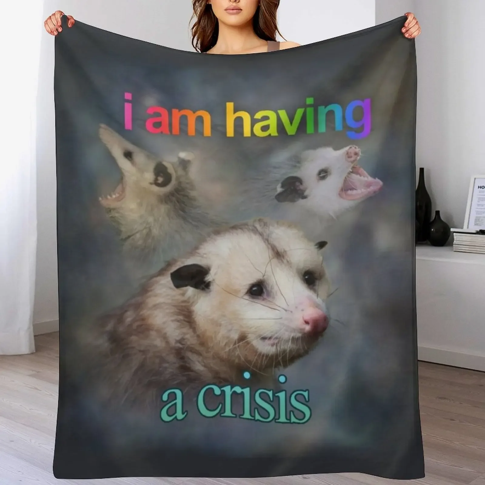 

I am having a crisis possum word art Throw Blanket funny gift Soft Plaid Blankets For Bed Sofa Quilt Blankets