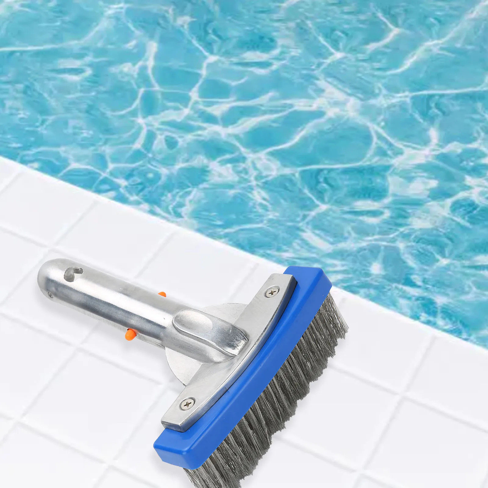 Cepillo de acero inoxidable para piscina, 5,5 pulgadas, para Spa, estanque, suelo, equipo de limpieza de pared