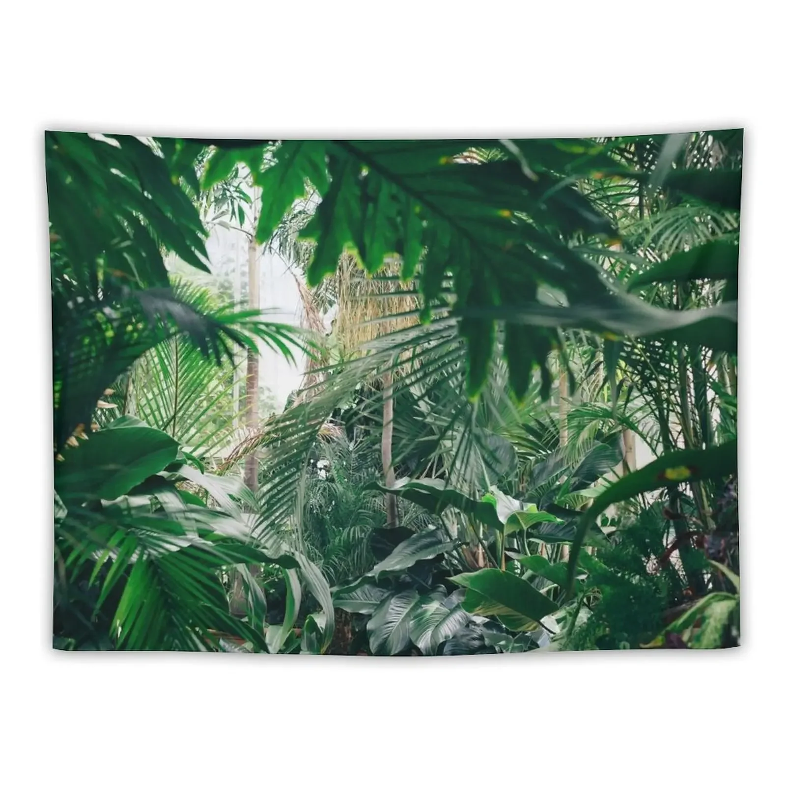 

Rainforest Tapestry Room Decor Korean Style Things To Decorate The Room Wall Hanging Living Room Decoration Tapestry