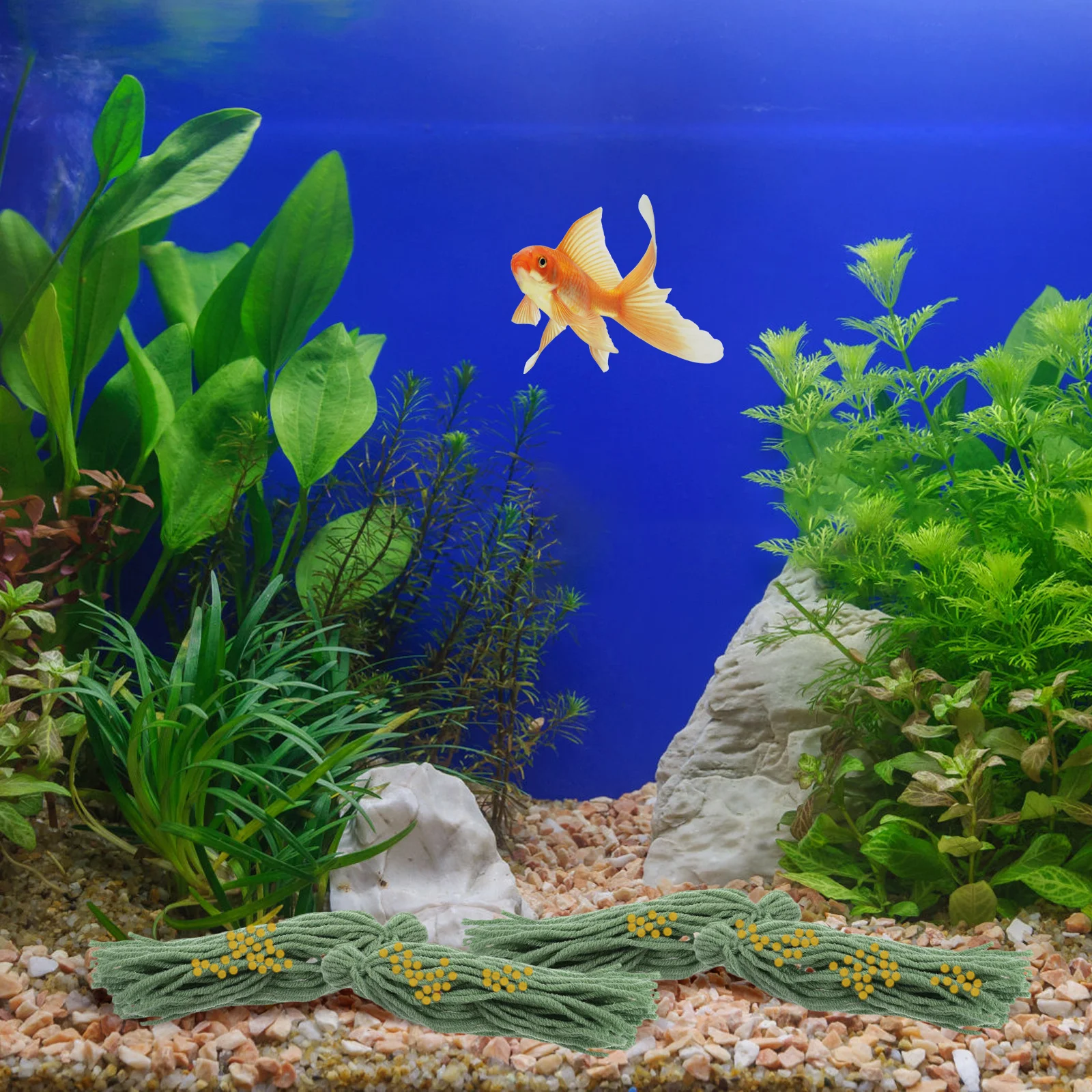 

5 Pcs Mop Egg Laying Fish Floating Spawning Tank Breed Mops Breeding Tool Aquarium