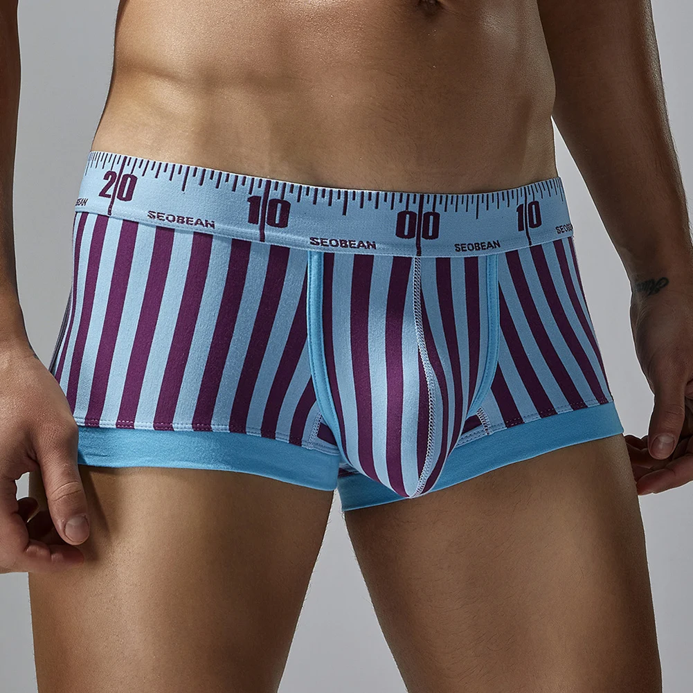 

Lingerie Boxer Underwear Low Waist Briefs Soft Panties Briefs Daily Stripe Men 's Sexy Underwear Panties Sexy Soft