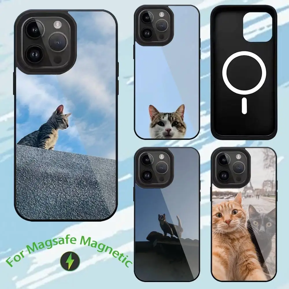 

Cute Cat Phone Case For iPhone 15,14,13,12,11,Plus,Pro,Max Mini Magsafe Magnetic Wireless Charging Low Price