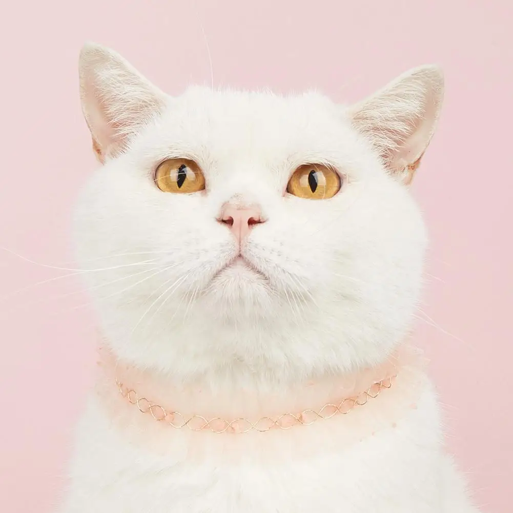 

Воздухопроницаемый ошейник для домашних животных, Элегантный ошейник принцессы с вышивкой из искусственного жемчуга, регулируемый чокер для груминга кошек и собак