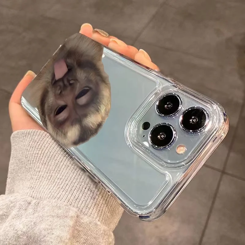 مضحك القرد نمط جراب هاتف آيفون 16 15 14 13 12 11 برو ماكس Mini X XS SE 7 8 Plus 16E للصدمات لينة غطاء شفاف #3