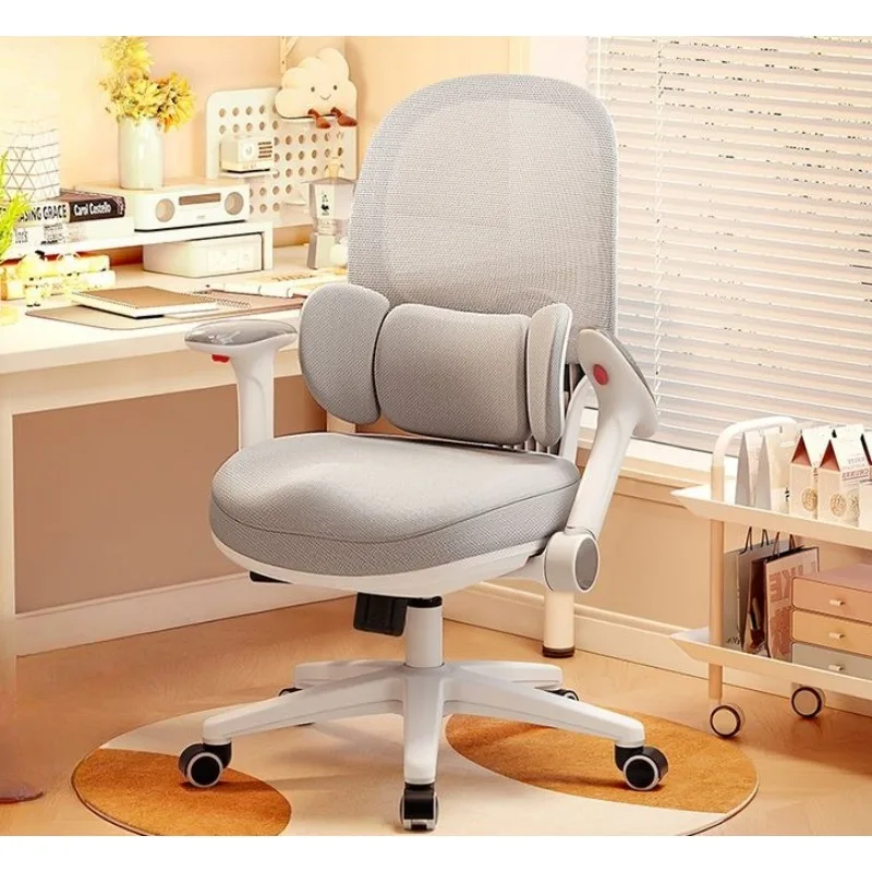 Adjustable Height Student Desk Chair, Back Support, Posture Correction Writing Chair Teen Ergonomic Study Chair